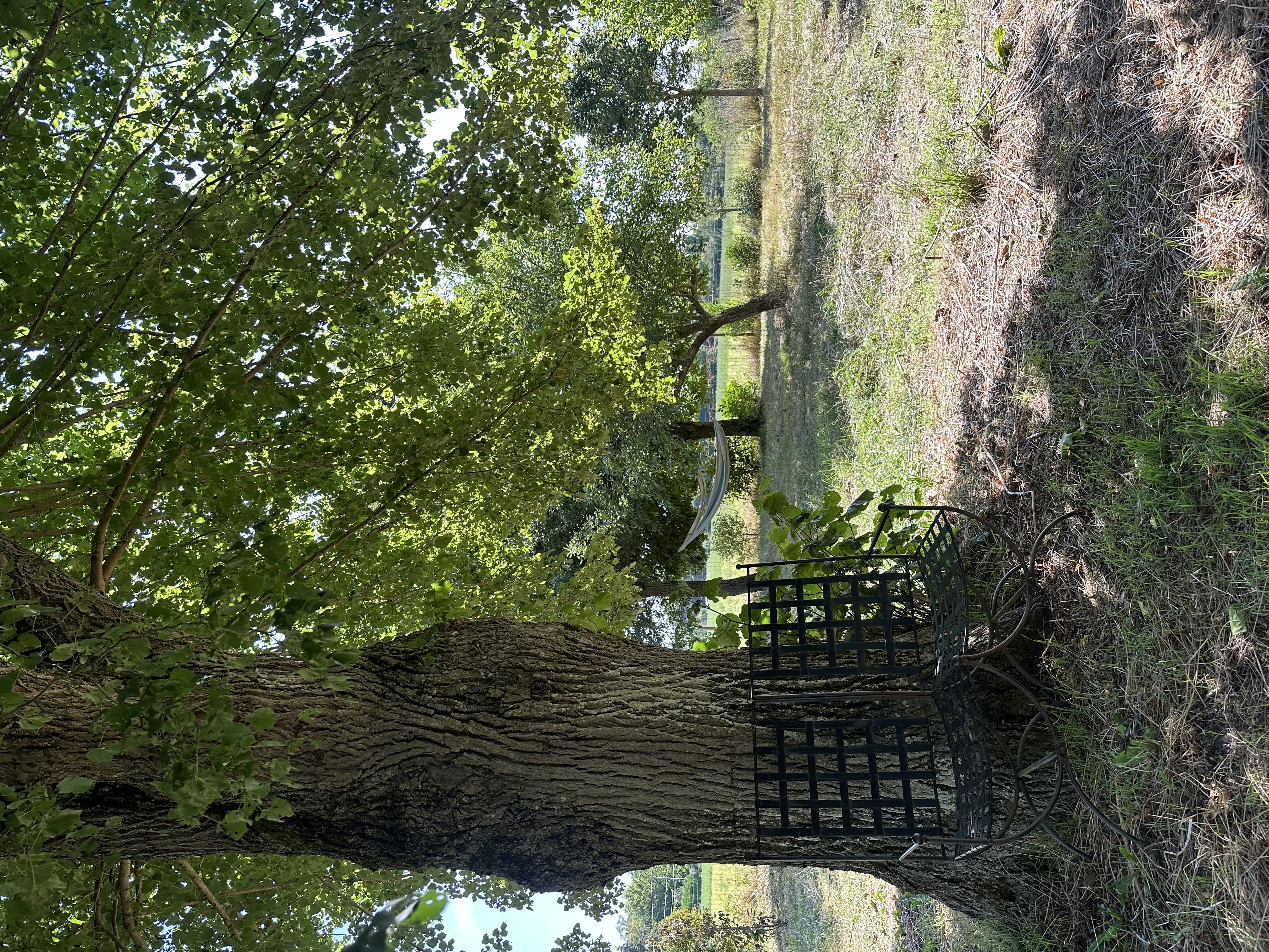 Jardin clos du Gîte Piscine Montargis, Nargis Loiret